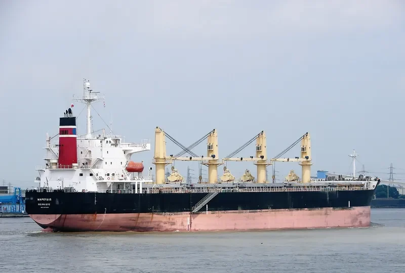AMANAH HALMAHERA AMC Bulk Carrier IMO 9277254 photo 7