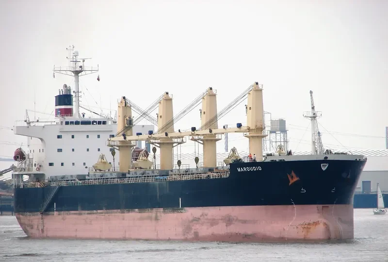 AMANAH HALMAHERA AMC Bulk Carrier IMO 9277254 photo 8