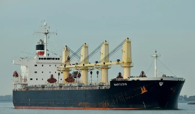 AMANAH HALMAHERA AMC Bulk Carrier IMO 9277254 photo 10