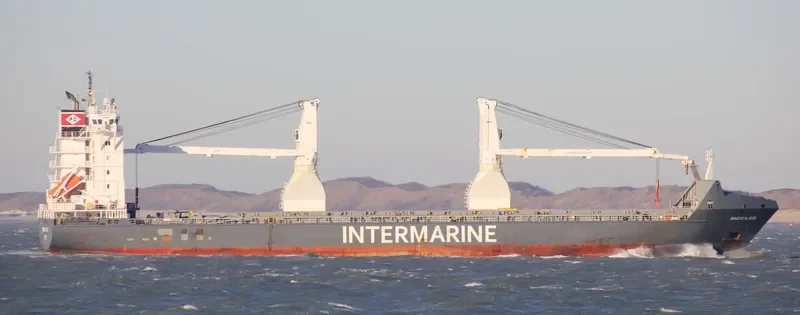 INDUSTRIAL RUBY General Cargo IMO 9277292 photo 2