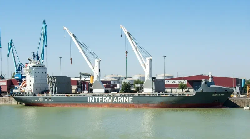 INDUSTRIAL RUBY General Cargo IMO 9277292 photo 3
