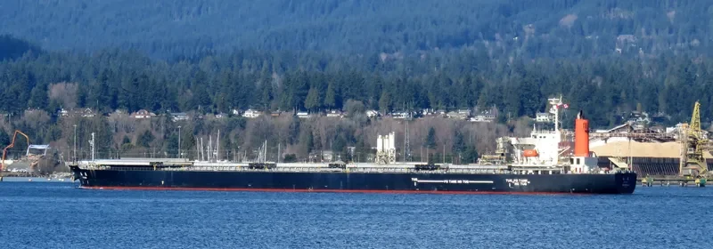 ROYAL FORWARD Bulk Carrier IMO 9277553 photo 4