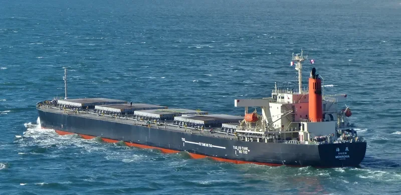 ROYAL FORWARD Bulk Carrier IMO 9277553 photo 6