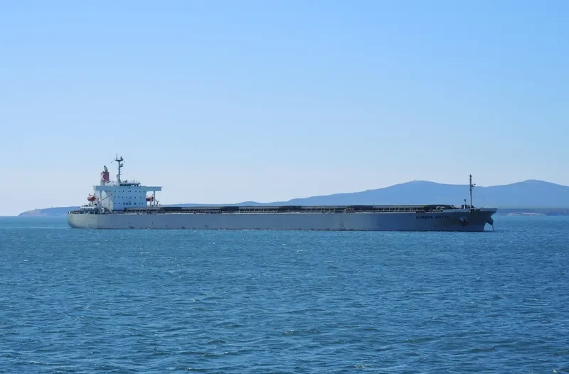 CORONA BRAVE Bulk Carrier IMO 9277577 photo 2