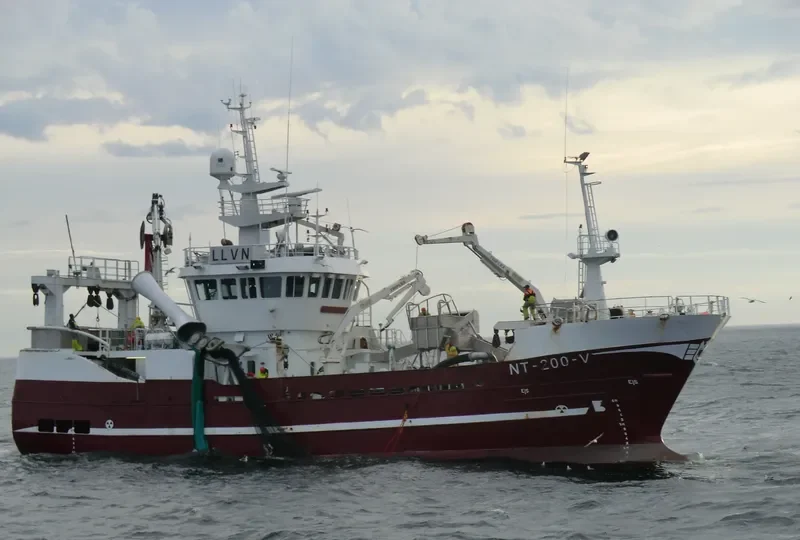 AMALIE General Cargo IMO 9277670 photo 10