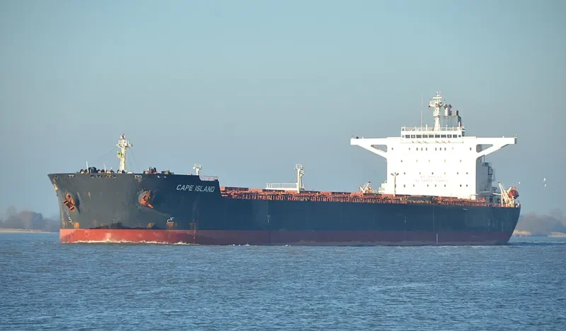 CAPE ISLAND Bulk Carrier IMO 9277711 photo 5