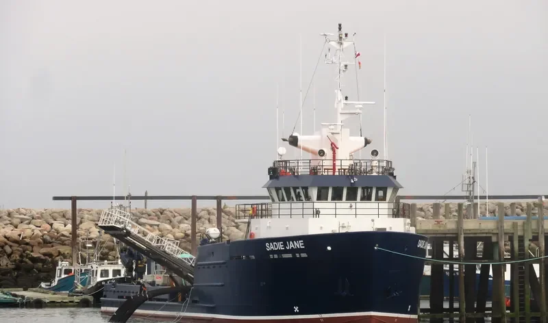SADIE JANE General Cargo IMO 9277852 photo 10