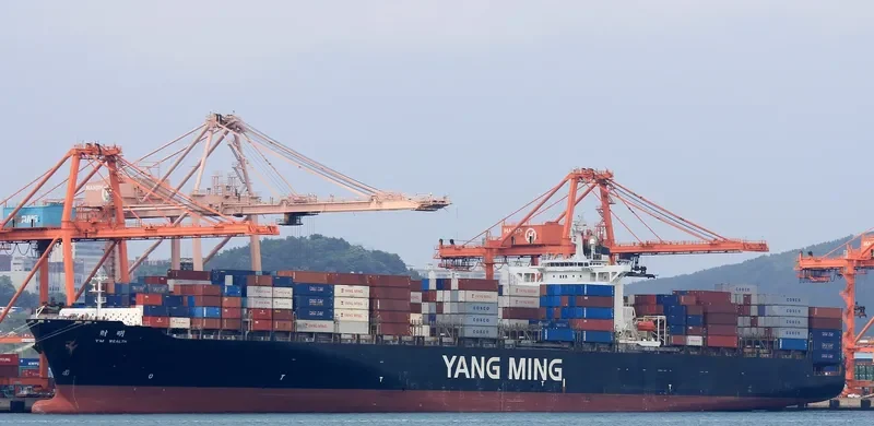 YM WEALTH Container Ship IMO 9278088 photo 5