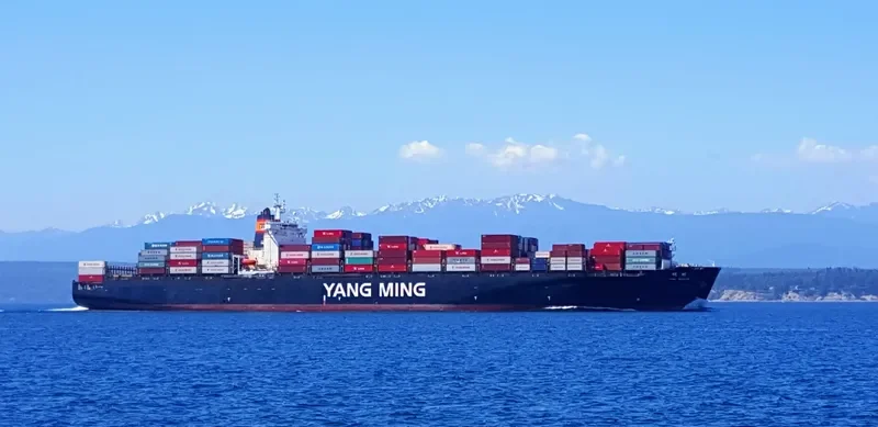 YM WEALTH Container Ship IMO 9278088 photo 9