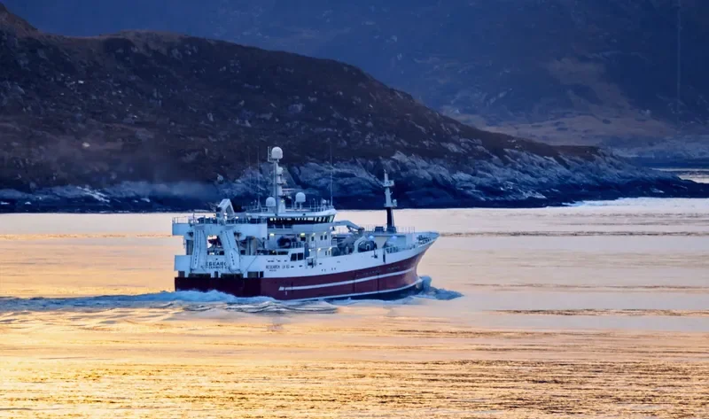 BORGARIN General Cargo IMO 9278258