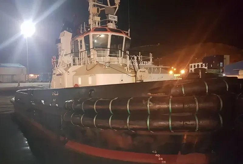 TASSINA 2 General Cargo IMO 9278375