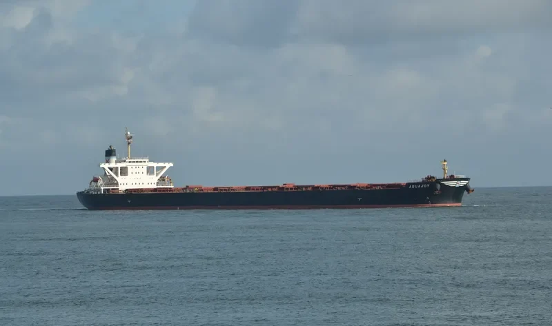 ALAM CETUS Bulk Carrier IMO 9278521 photo 4