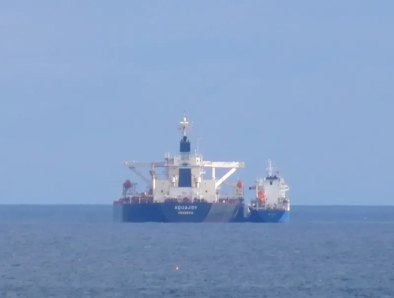 ALAM CETUS Bulk Carrier IMO 9278521 photo 10