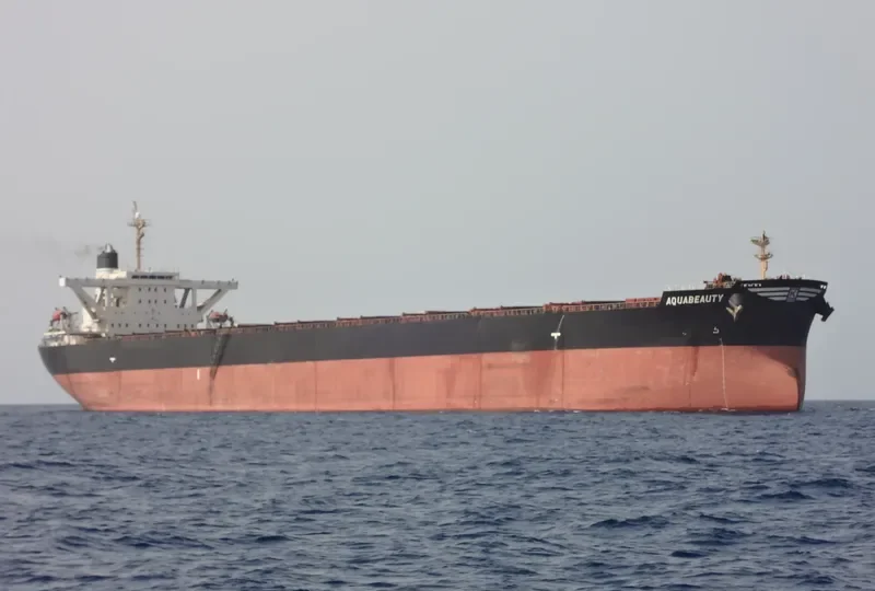 ANDROS BEAUTY Bulk Carrier IMO 9278545