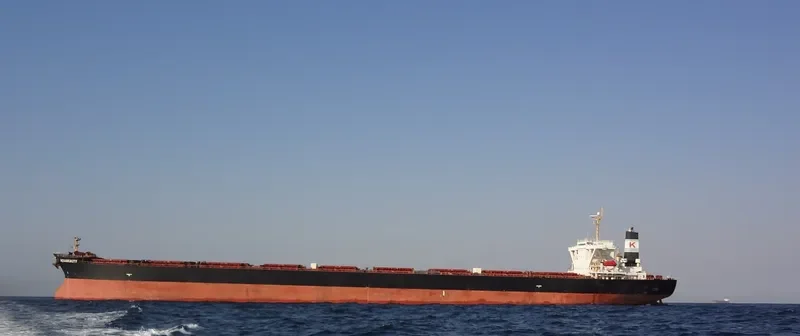 ANDROS BEAUTY Bulk Carrier IMO 9278545 photo 2