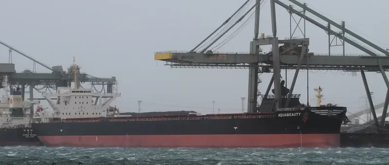 ANDROS BEAUTY Bulk Carrier IMO 9278545 photo 5