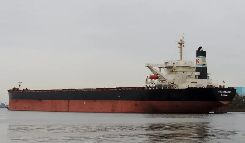 ANDROS BEAUTY Bulk Carrier IMO 9278545 photo 8