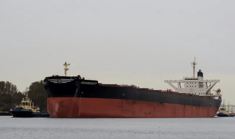 ANDROS BEAUTY Bulk Carrier IMO 9278545 photo 9