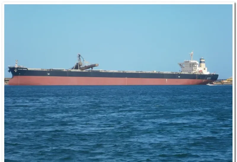 OCEAN QUEEN Bulk Carrier IMO 9278571 photo 3