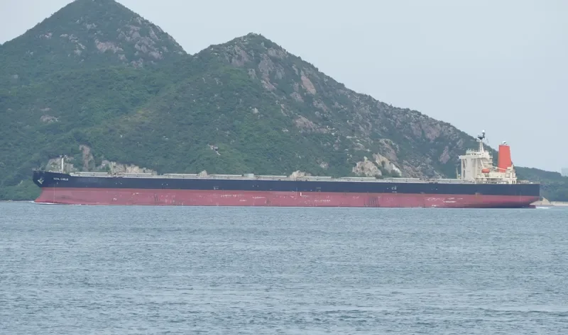 WINNING YOUTH Bulk Carrier IMO 9278636