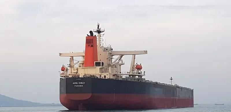 WINNING YOUTH Bulk Carrier IMO 9278636 photo 2