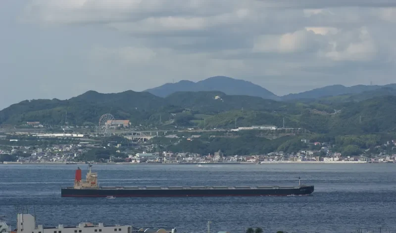 WINNING YOUTH Bulk Carrier IMO 9278636 photo 5