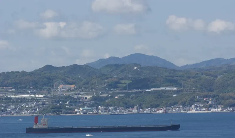WINNING YOUTH Bulk Carrier IMO 9278636 photo 7