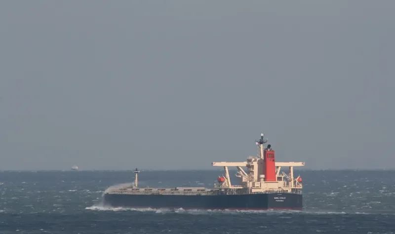 WINNING YOUTH Bulk Carrier IMO 9278636 photo 8