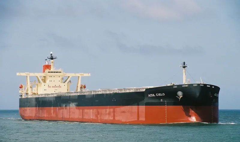 WINNING YOUTH Bulk Carrier IMO 9278636 photo 9