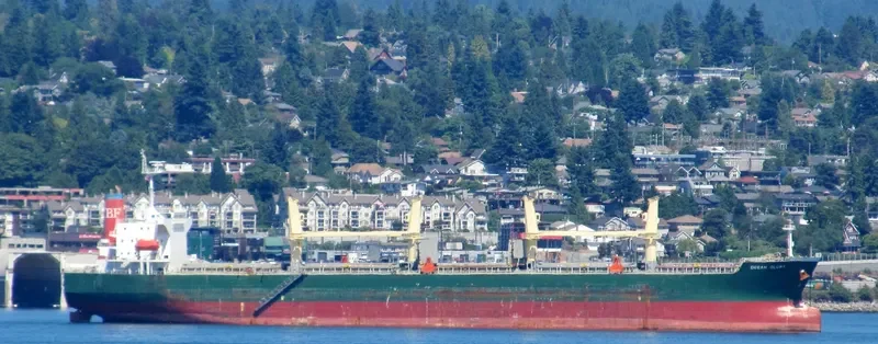 OCEAN GLORY Bulk Carrier IMO 9278648 photo 2