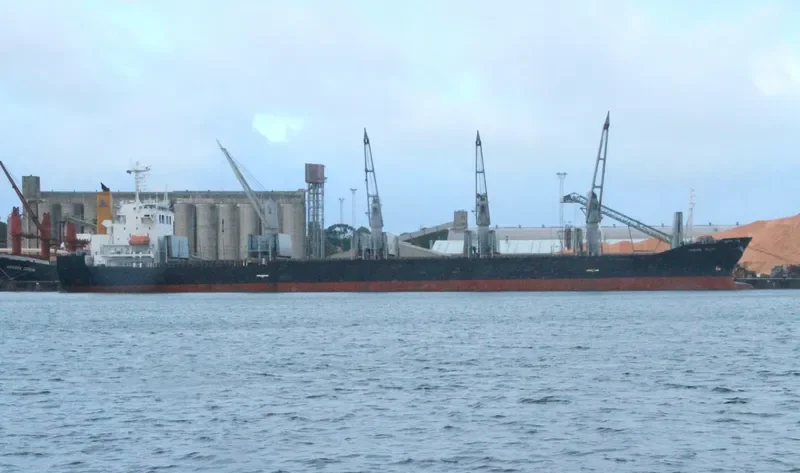 OCEAN GLORY Bulk Carrier IMO 9278648 photo 7