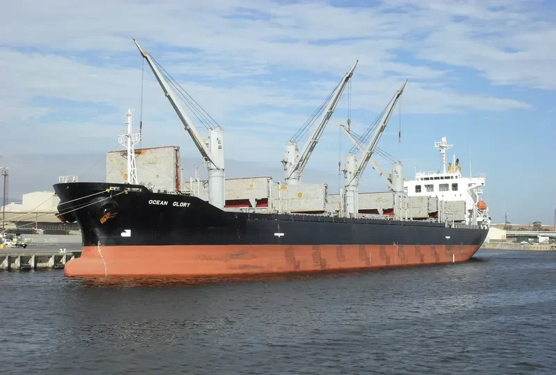 OCEAN GLORY Bulk Carrier IMO 9278648 photo 8