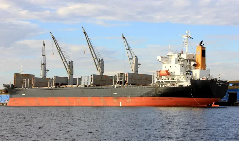 OCEAN GLORY Bulk Carrier IMO 9278648 photo 9