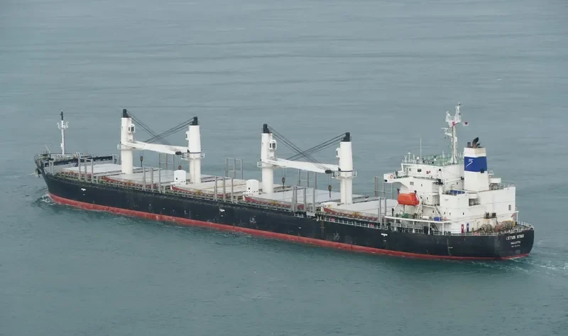 CETUS STAR Bulk Carrier IMO 9278741 photo 6