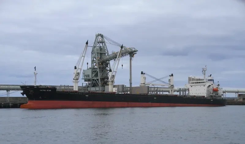 CETUS STAR Bulk Carrier IMO 9278741 photo 8