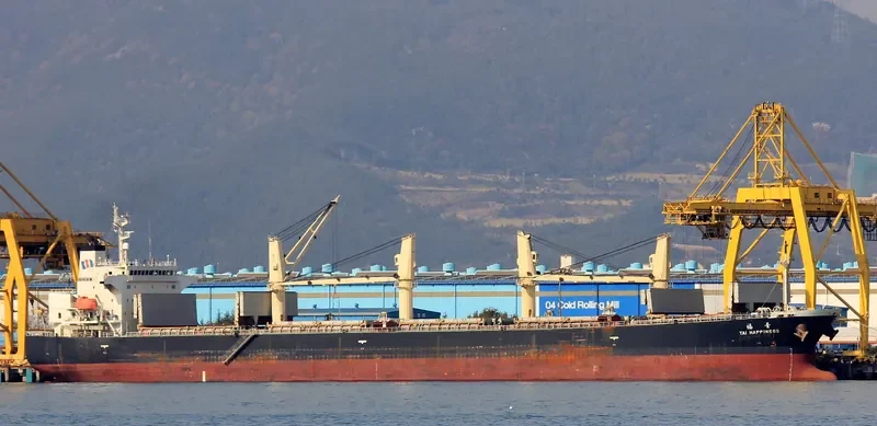 GUTIAN LOYAL Bulk Carrier IMO 9278806