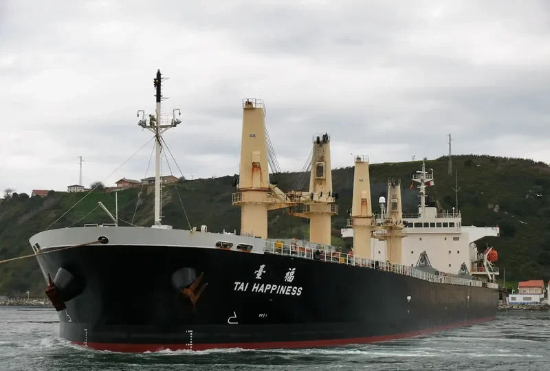 GUTIAN LOYAL Bulk Carrier IMO 9278806 photo 5