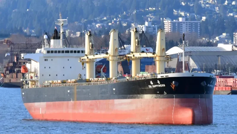 GUTIAN LOYAL Bulk Carrier IMO 9278806 photo 8