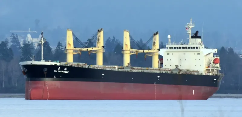 GUTIAN LOYAL Bulk Carrier IMO 9278806 photo 9