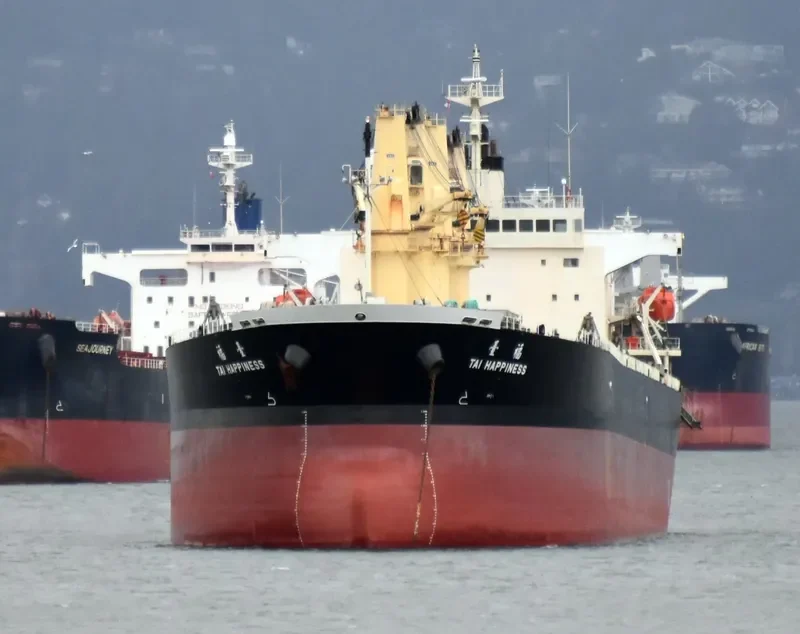 GUTIAN LOYAL Bulk Carrier IMO 9278806 photo 10