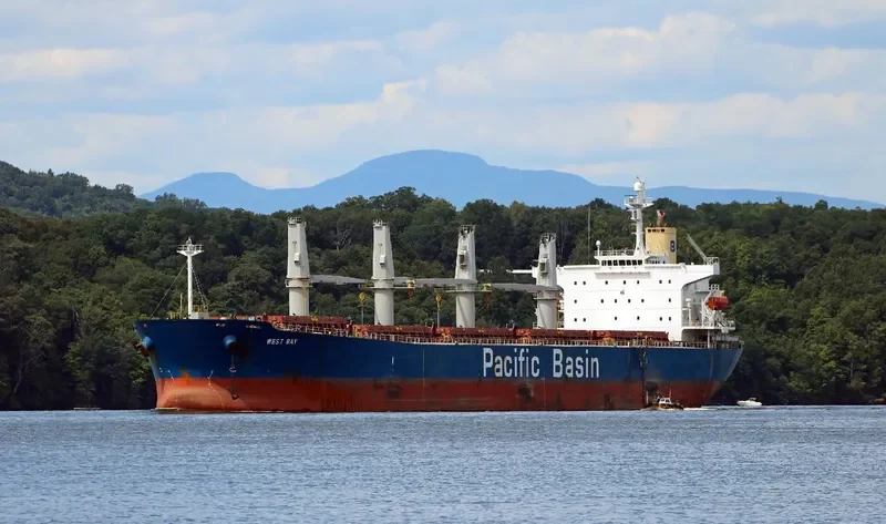 WEST BAY Bulk Carrier IMO 9278868