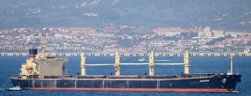 APAGEON Bulk Carrier IMO 9278870 photo 3