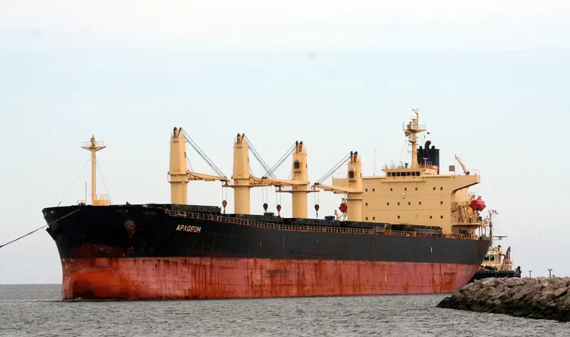 APAGEON Bulk Carrier IMO 9278870 photo 7