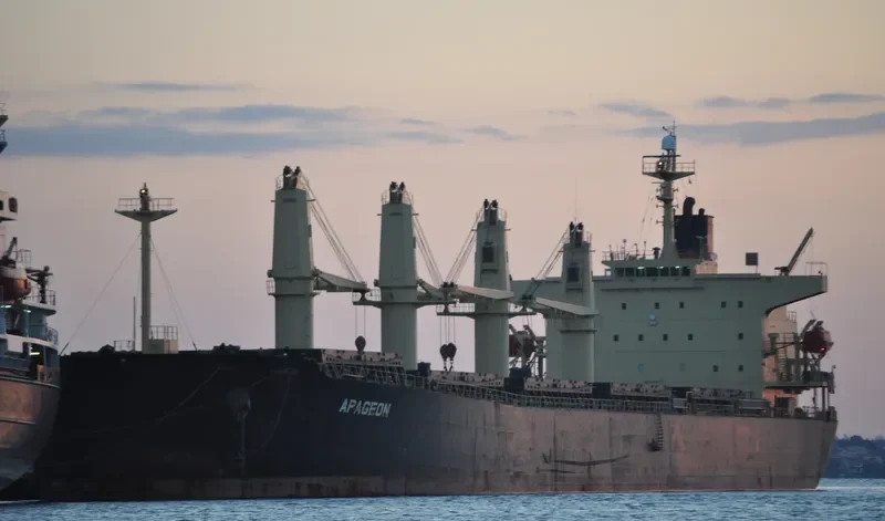 APAGEON Bulk Carrier IMO 9278870 photo 9