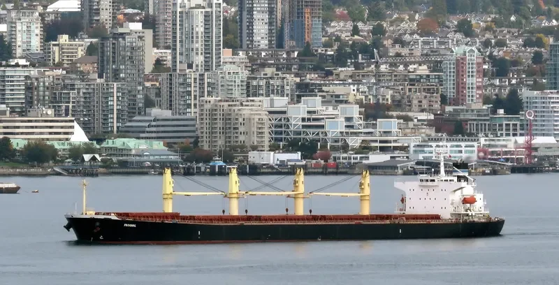 STELLA ISLAND Bulk Carrier IMO 9278882 photo 2