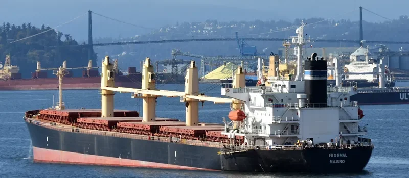 STELLA ISLAND Bulk Carrier IMO 9278882 photo 4