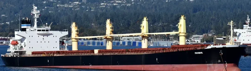 STELLA ISLAND Bulk Carrier IMO 9278882 photo 5