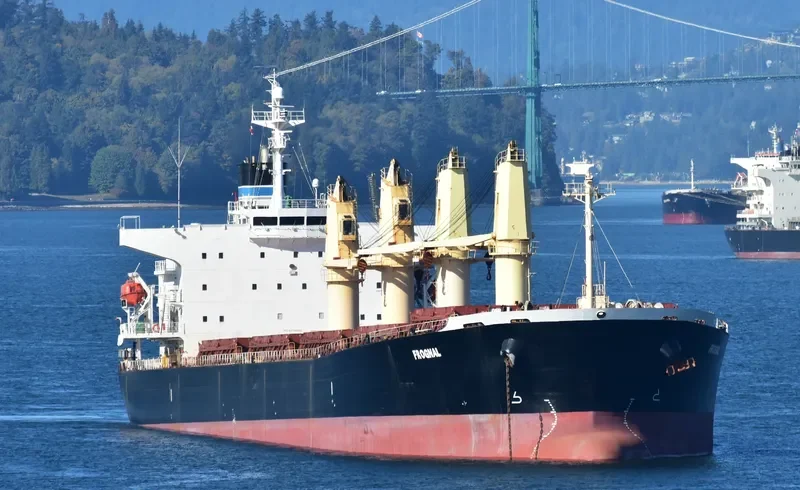 STELLA ISLAND Bulk Carrier IMO 9278882 photo 6