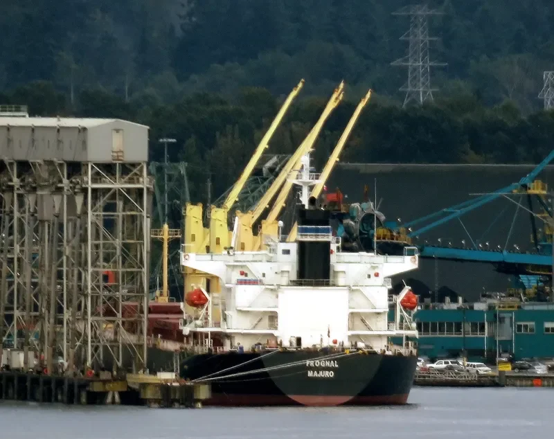 STELLA ISLAND Bulk Carrier IMO 9278882 photo 8