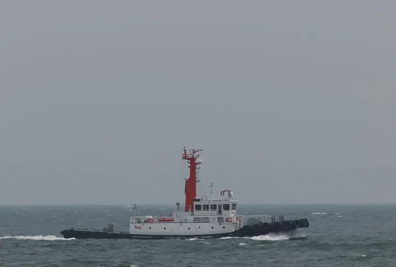 RAICHO General Cargo IMO 9279355